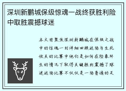 深圳新鹏城保级惊魂一战终获胜利险中取胜震撼球迷 深圳新鹏城保级惊魂一战终获胜利险中取胜震撼球迷
